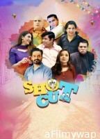 Shotcut (2022) Punjabi Full Movies