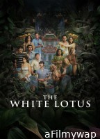 The White Lotus (2025) Season 3 EP04 Hindi Dubbed Web Series